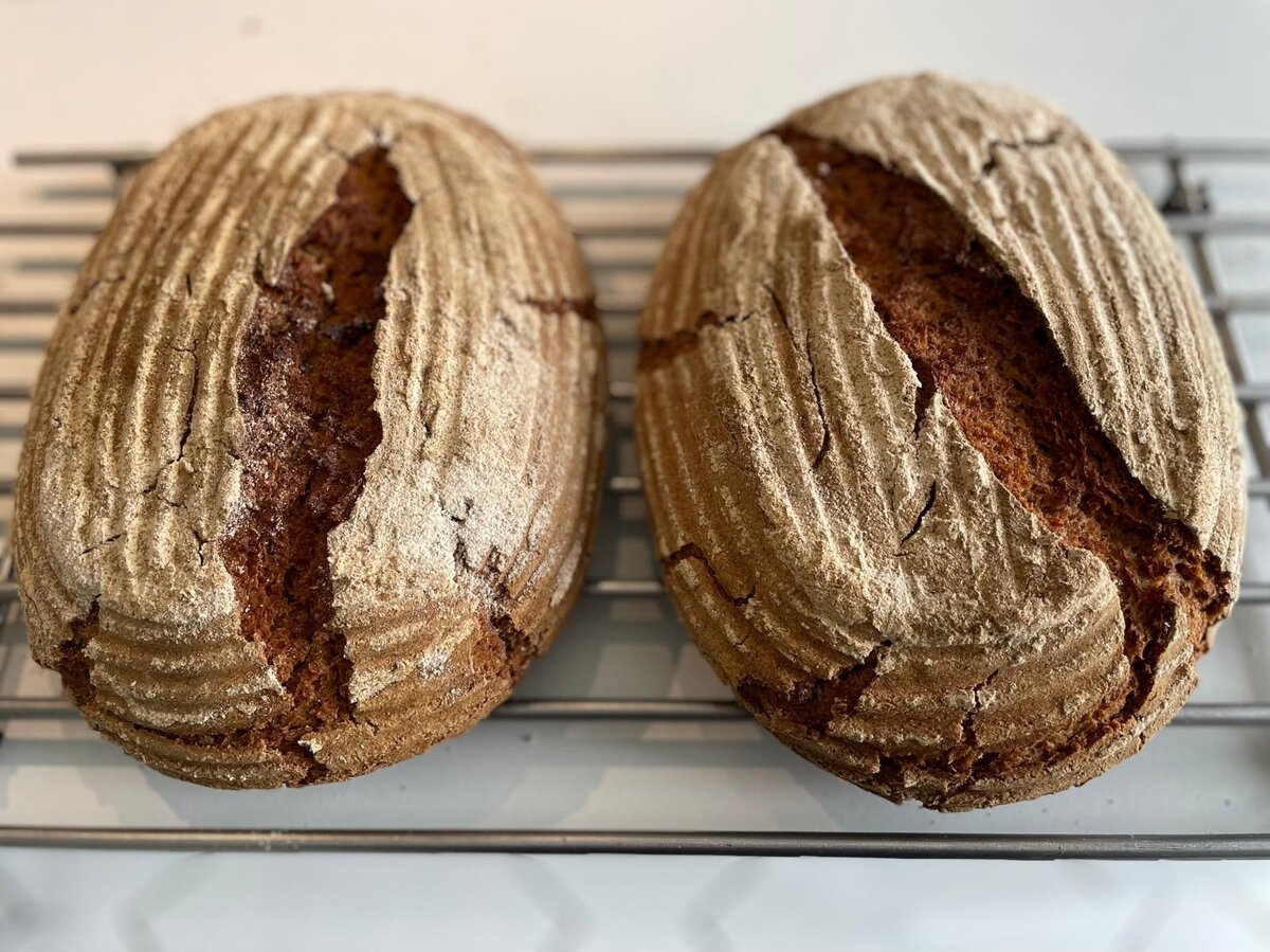Zwei rustikale Brote auf einem Metallgitter, mit bemehlter, rissiger Kruste und typischer Rillenstruktur – frisch gebacken.