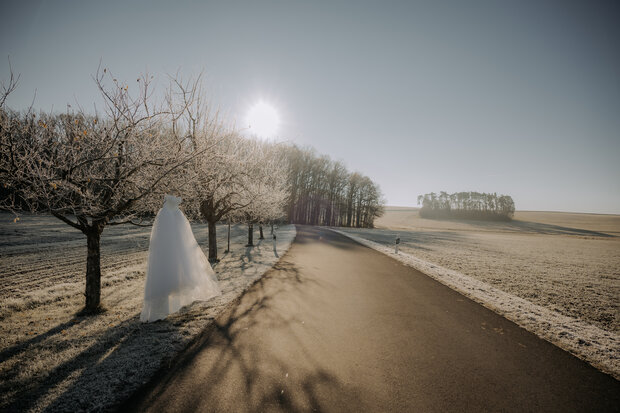 Winterlandschaft mit kurviger Straße durch frostige Felder und Bäume – ein weißes Hochzeitskleid hängt auffällig an einem vereisten Baum, während Sonnenlicht die Szene klar und kontrastreich beleuchtet.