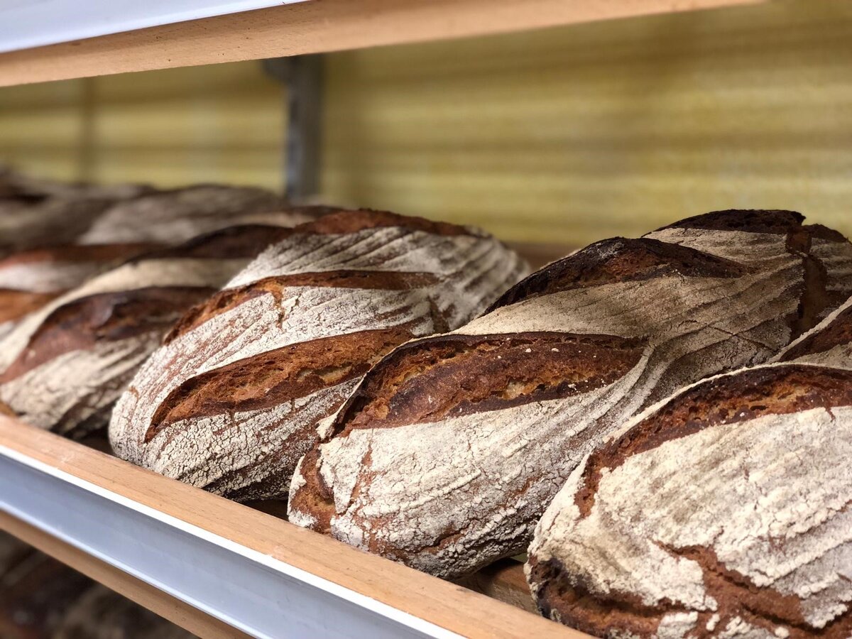 Brotlaibe im Regal im Hofladen