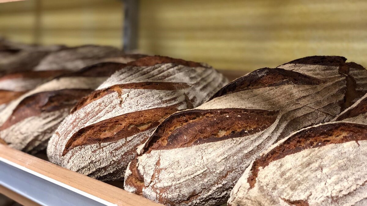 Brotlaibe im Regal im Hofladen