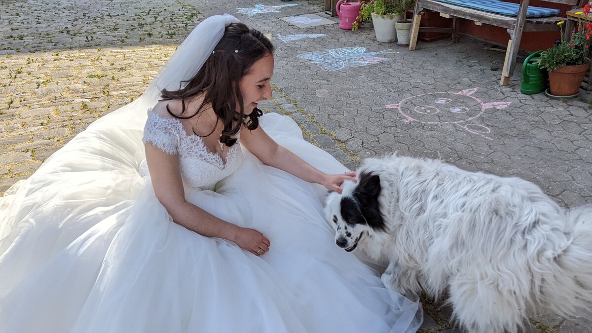 Braut sitzt auf Kopfsteinpflaster und streichelt einen großen weißen Hund mit schwarzen Abzeichen.
